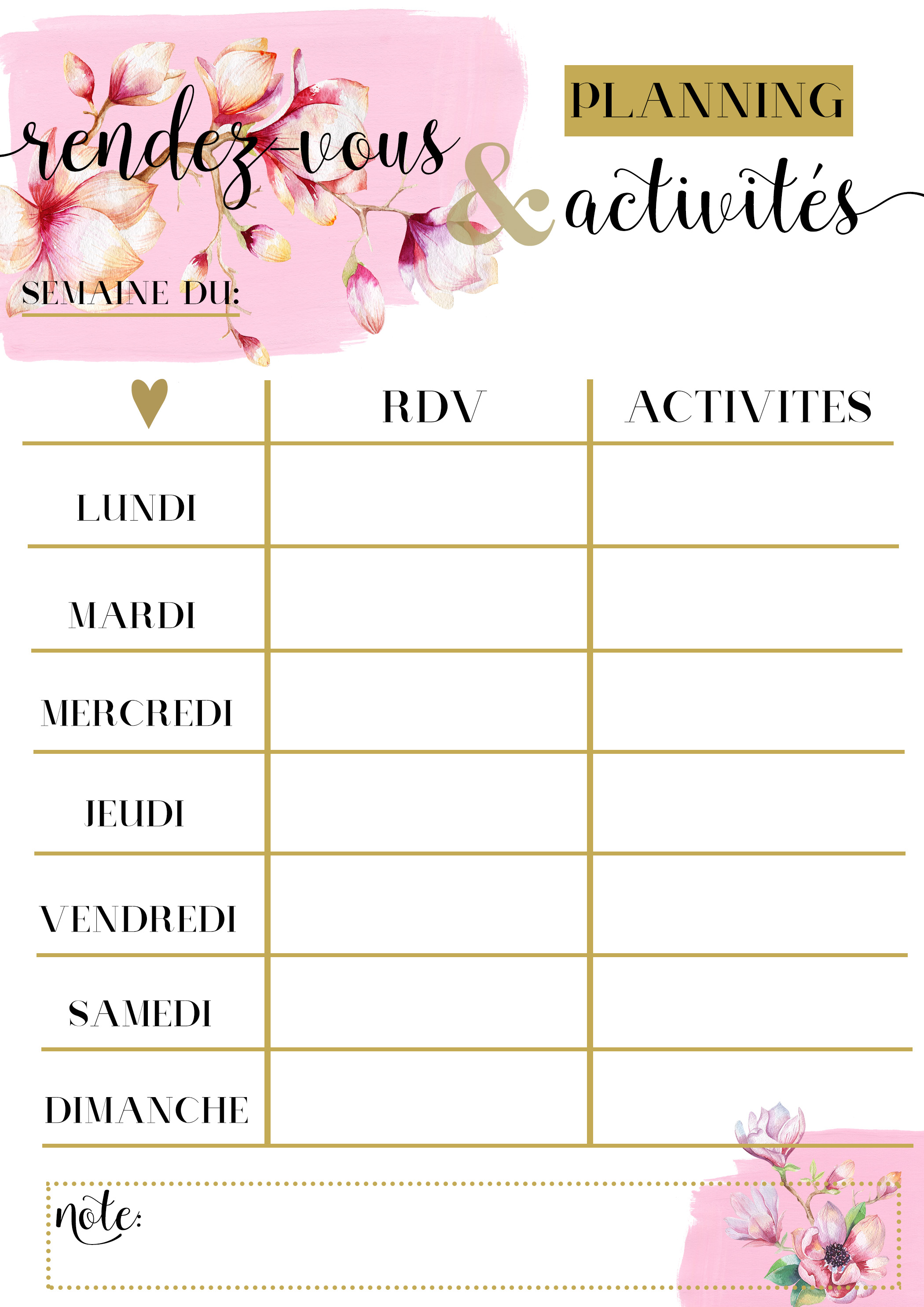 planning-RDV-activités