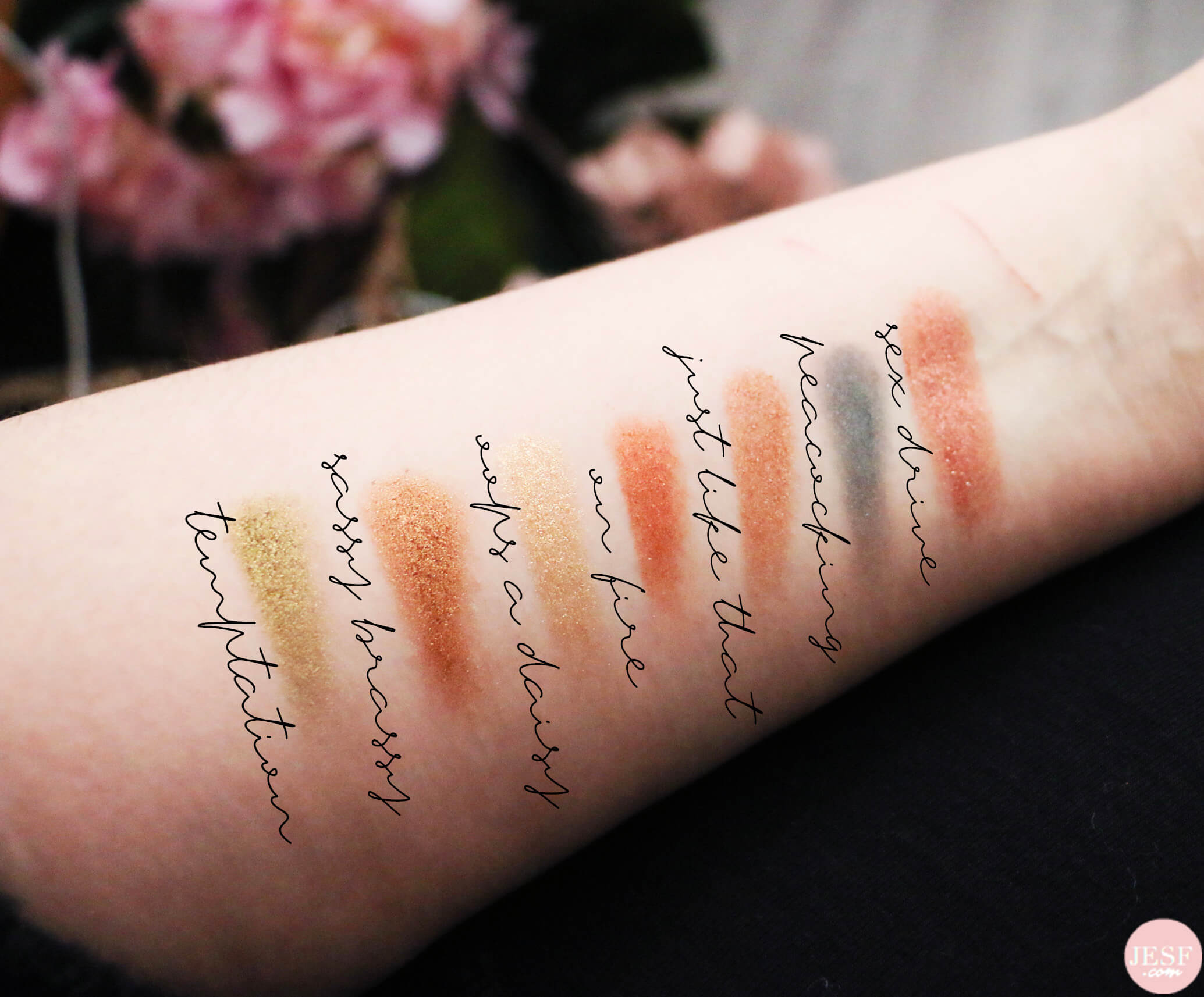 avis-palette-natural-lust-too-faced-nouveauté-printemps-makeup-revue-makeup-swatches